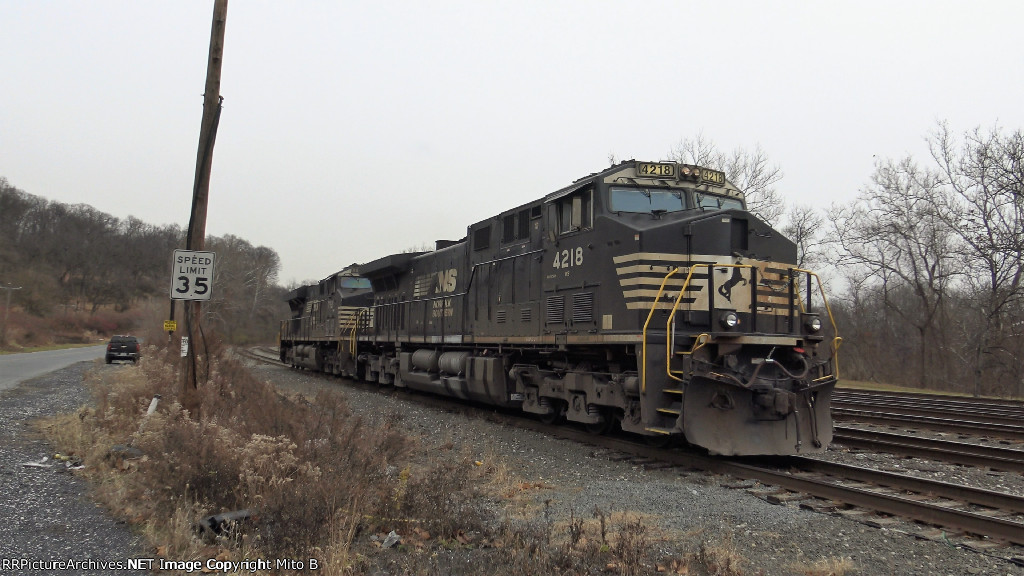 NS 4218